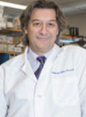 Alessio Fasano, MD